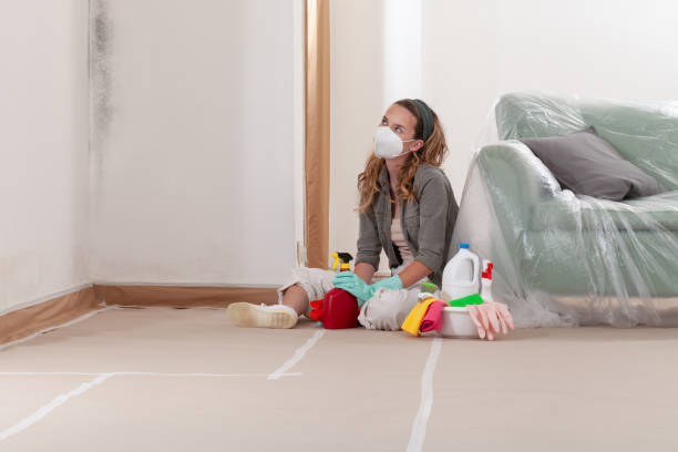 Reliable Mold Cleanup contractor in Gardners, PA by WQB Mold Removal