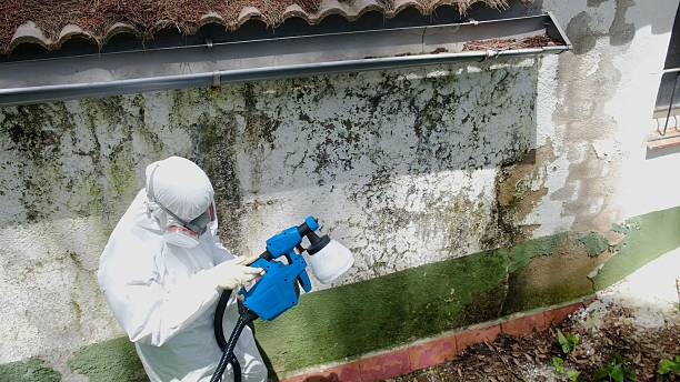 Top rated local Mold Cleanup specialists in Gardners, PA